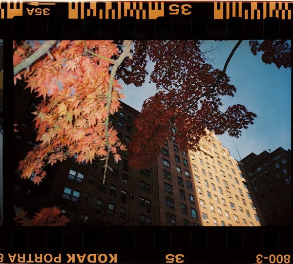 Film scan